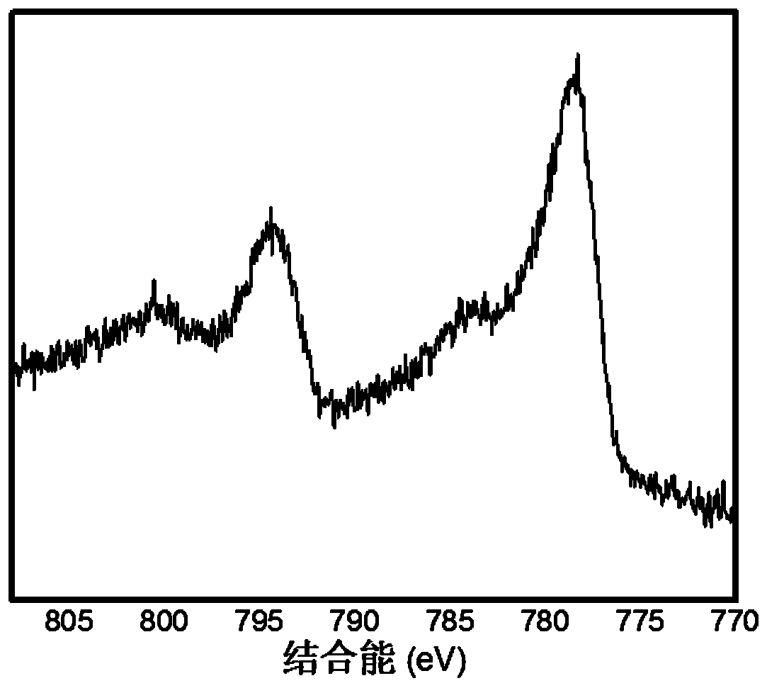 A kind of preparation method of ultrathin coni alloy nano sheet