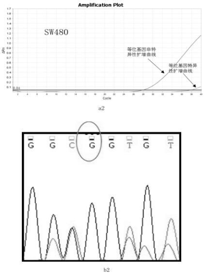 Primer, probe and kit for HRAS G13R mutation detection