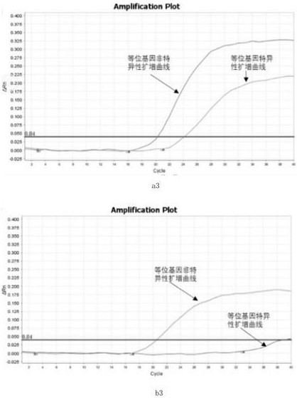 Primer, probe and kit for HRAS G13R mutation detection