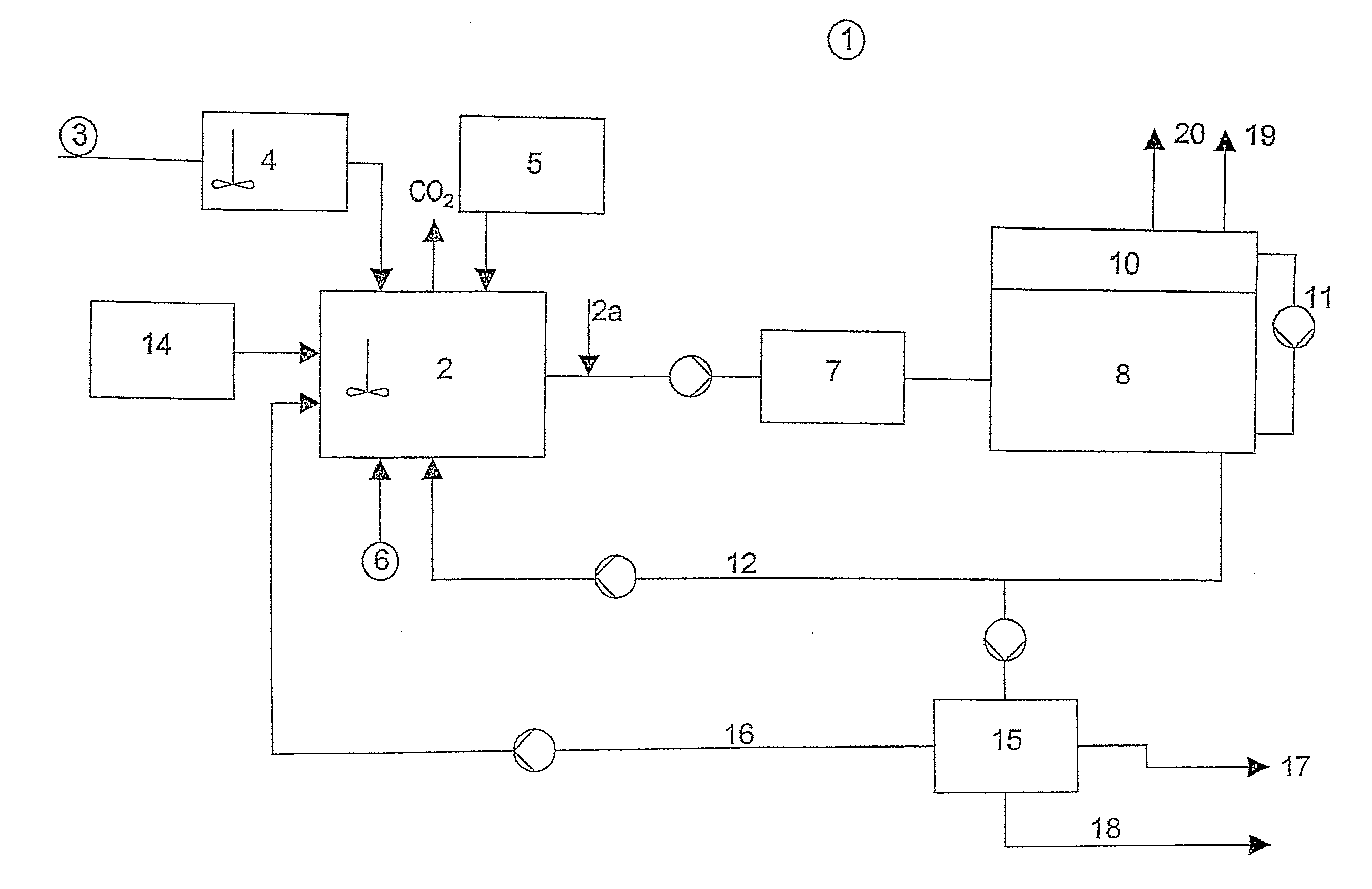 Process for producing methane from process water and biogenic material