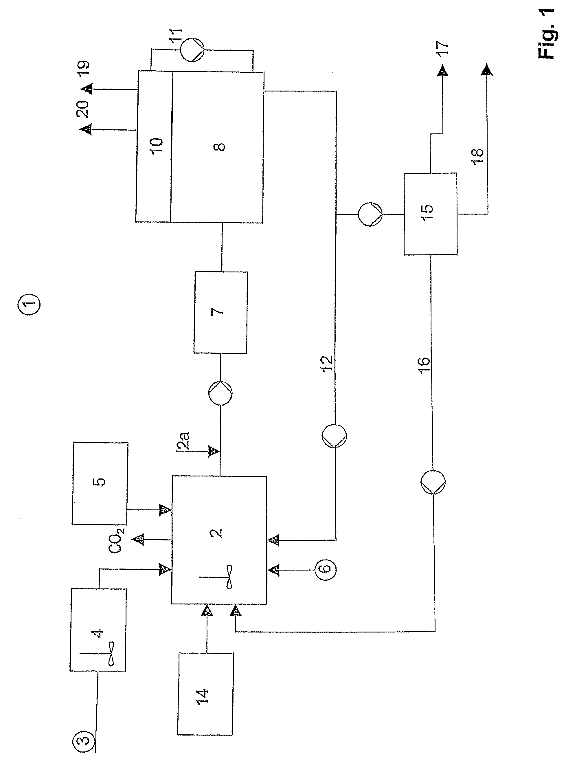 Process for producing methane from process water and biogenic material