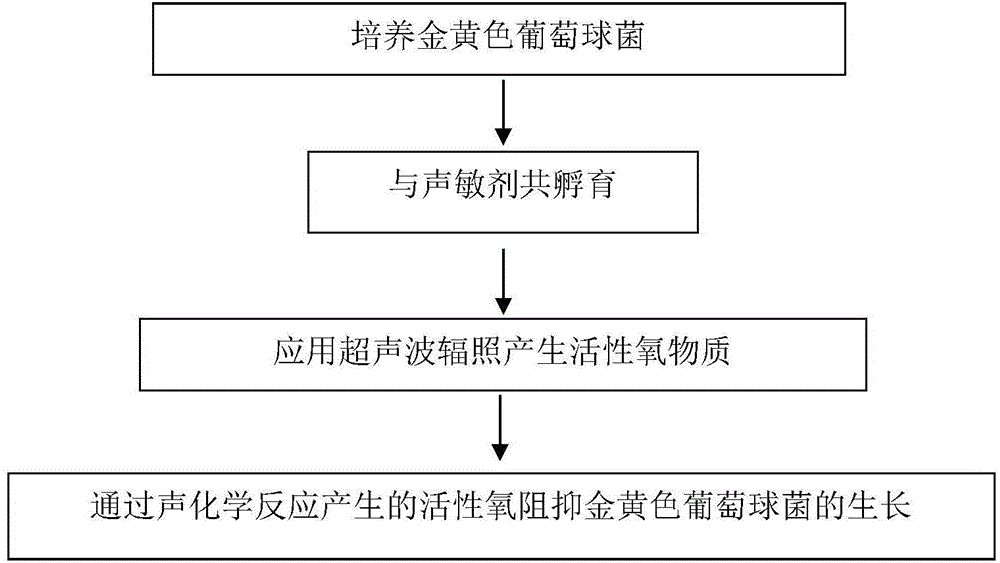 Ultrasonic responsive bone repair material, production method and use thereof