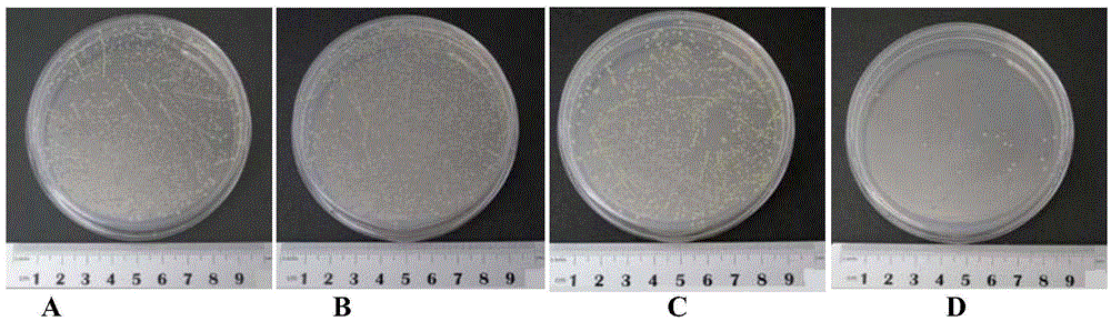 Ultrasonic responsive bone repair material, production method and use thereof