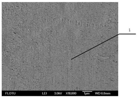 A kind of preparation method of polyvinylidene fluoride hollow fiber hollow fiber microporous membrane with large flux removal virus