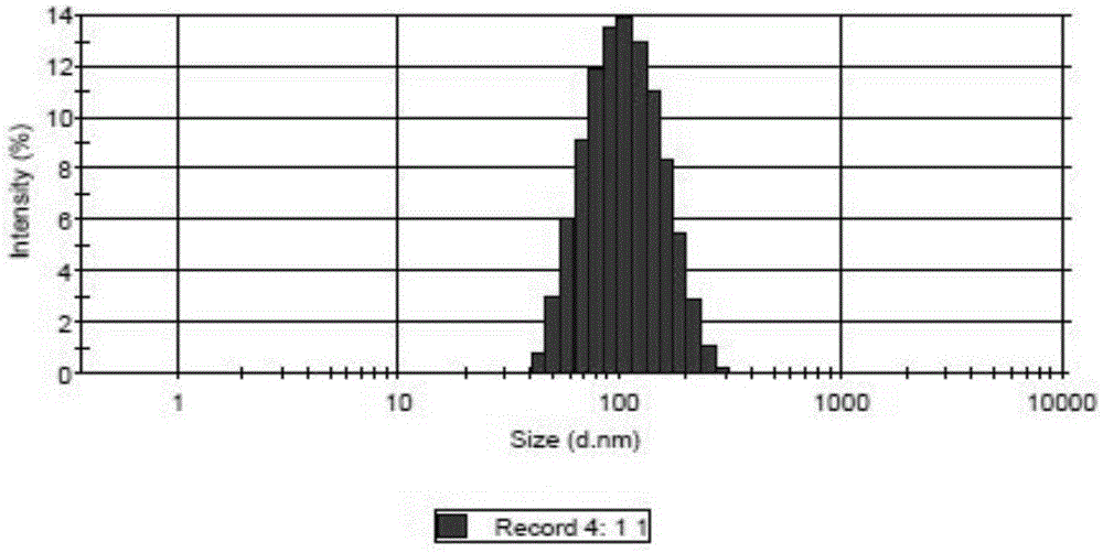 Nano carrier material as well as preparation method and application thereof