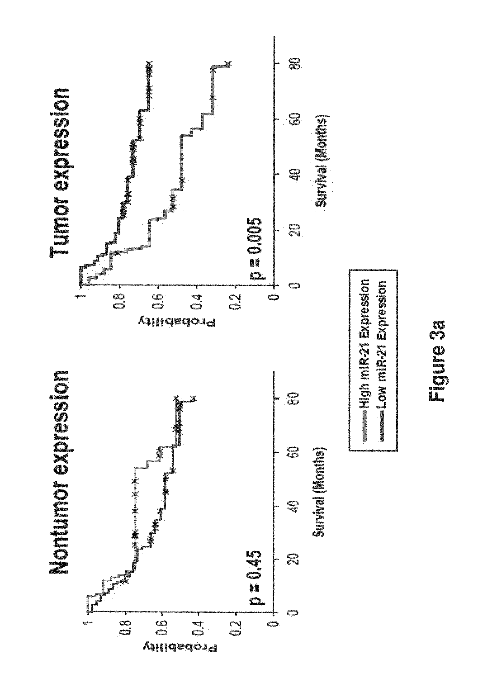 METHOD OF DIAGNOSING POOR SURVIVAL PROGNOSIS COLON CANCER USING let-7g