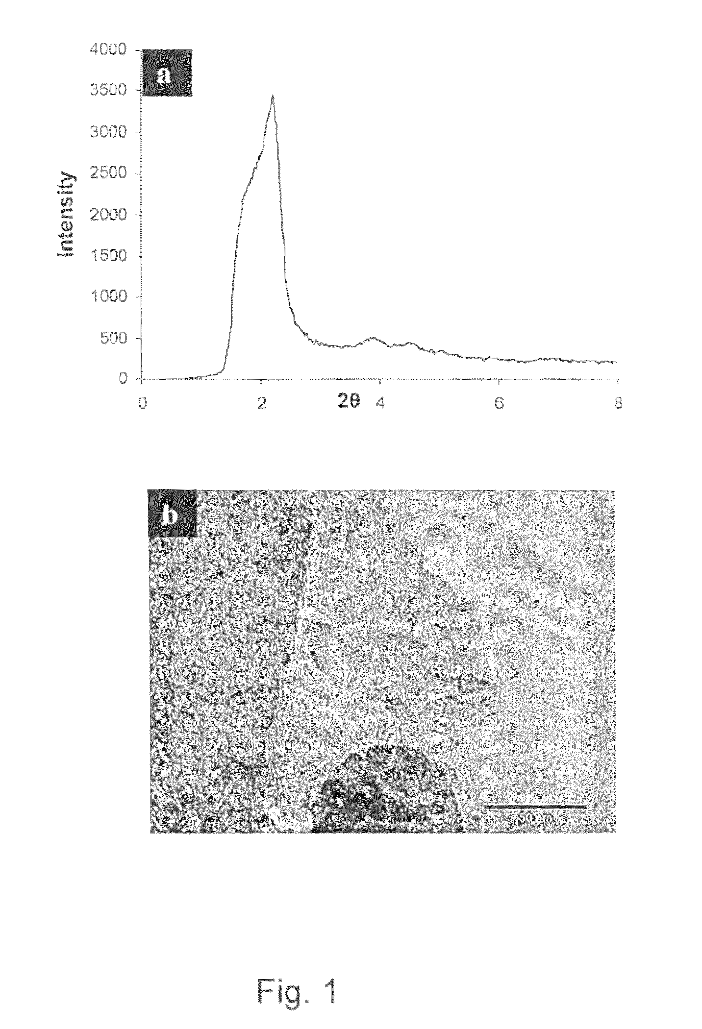 Method for manufacturing a nanoporous framework and a nanoporous framework thus produced