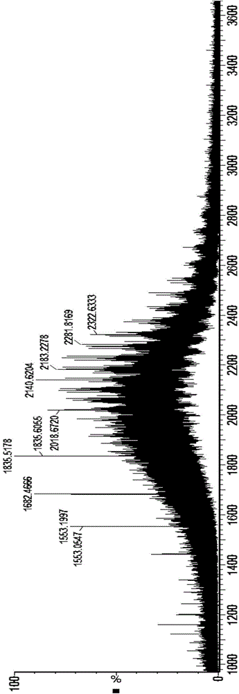 Fusion protein molecular weight analysis method