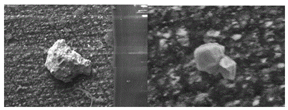 Electrolytic extraction and detection method of nonmetallic inclusion in steel by utilizing organic solution