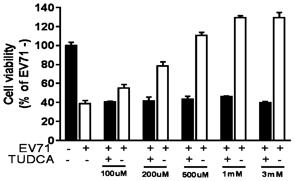 Application of tauroursodeoxycholic acid in drugs for resisting hand-foot-mouth virus and vesicular stomatitis virus