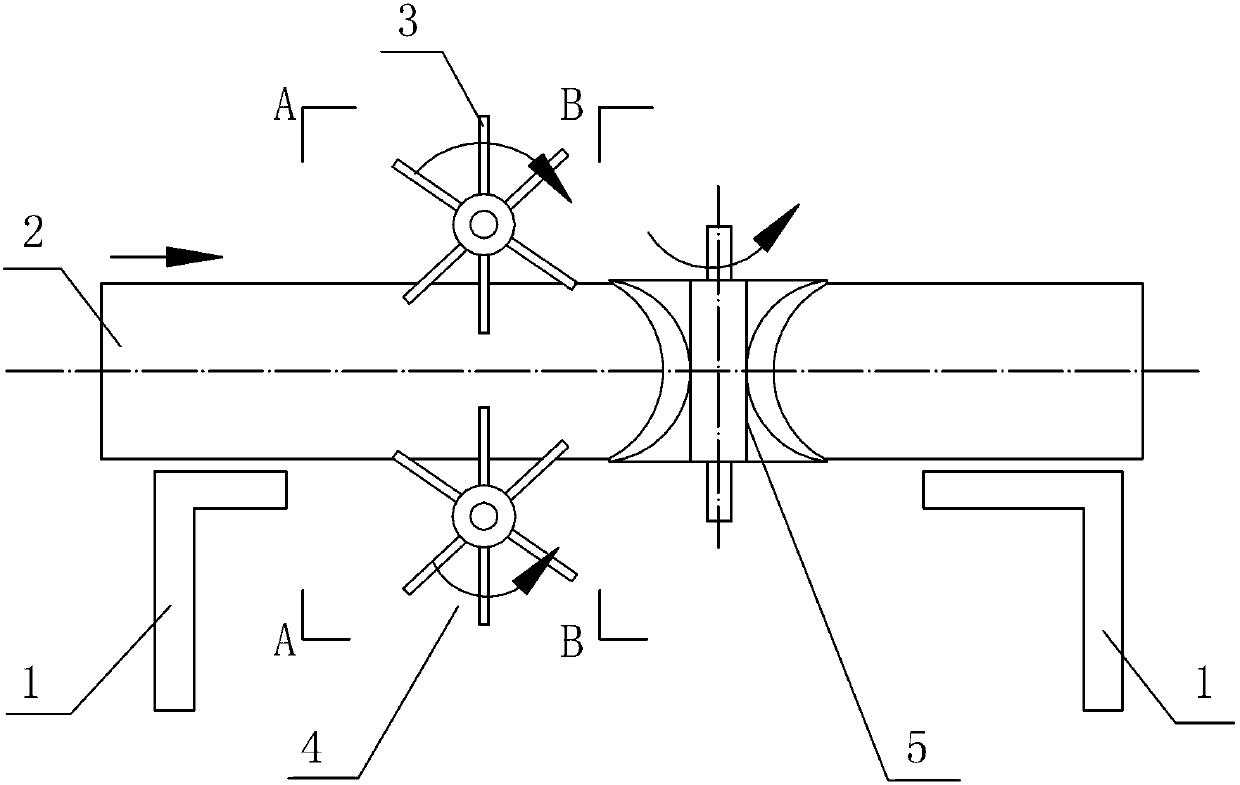 Preparation method of fiber of paper mulberry