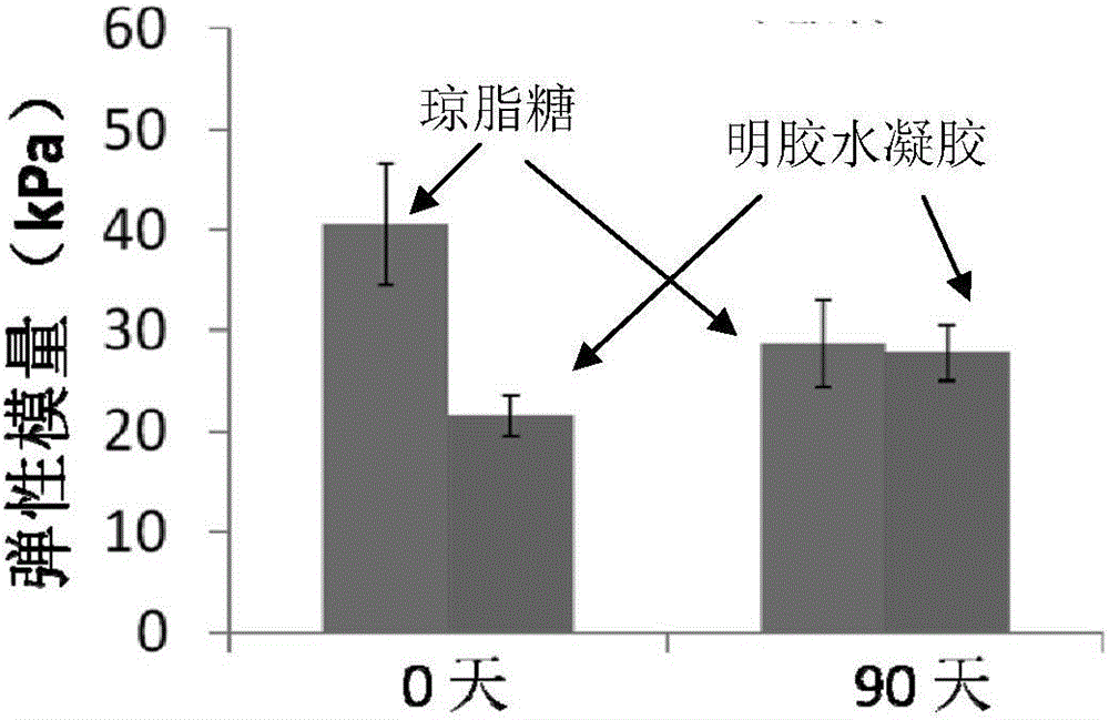 Photo-crosslinking material, hydrogel formed by photo-crosslinking material and preparation method and application thereof