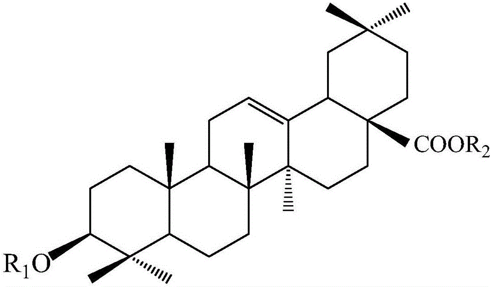 Method for acquiring secondary metabolites including panax japonicus saponins and the like with large-scale culture and bioconversion technology for panax japonicus cells