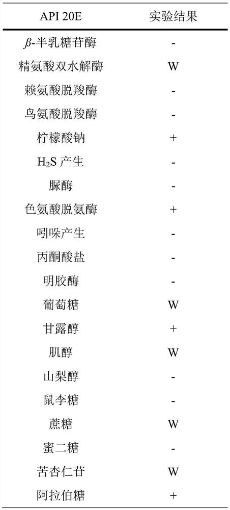 Triton's bacillus mobilis and application thereof