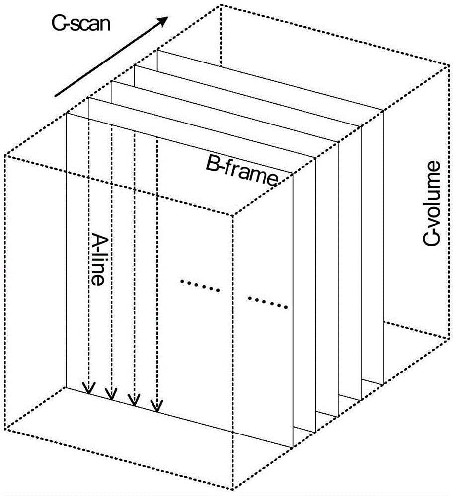 Glass surface authentic and false defect identification method and system based on OCT complex signal