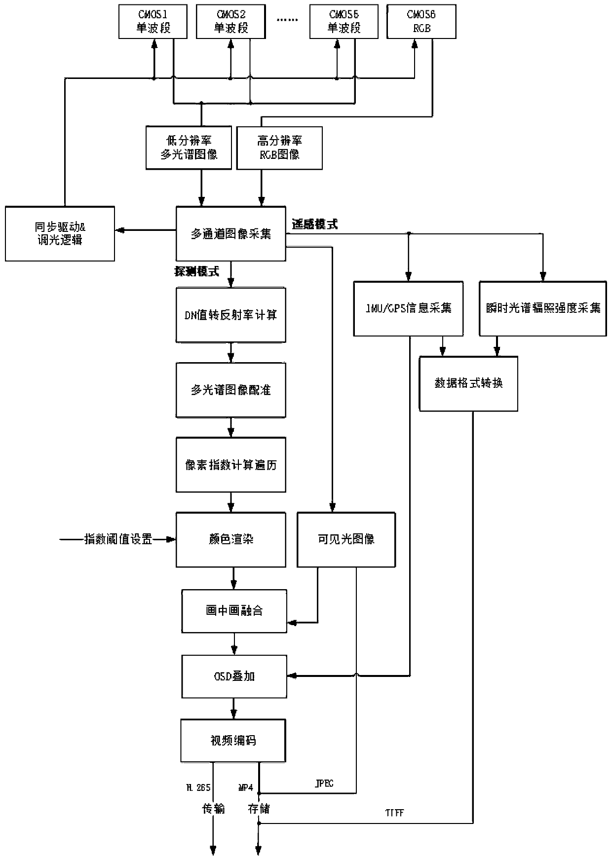 Video processing method and device for multispectral detection and multispectral detection terminal