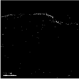 Method for preparing KA oil and derivatives of KA oil by electrocatalytic hydrogenation of lignin-based phenolic compounds