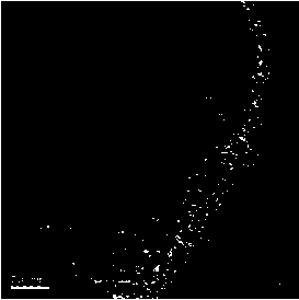 Method for preparing KA oil and derivatives of KA oil by electrocatalytic hydrogenation of lignin-based phenolic compounds