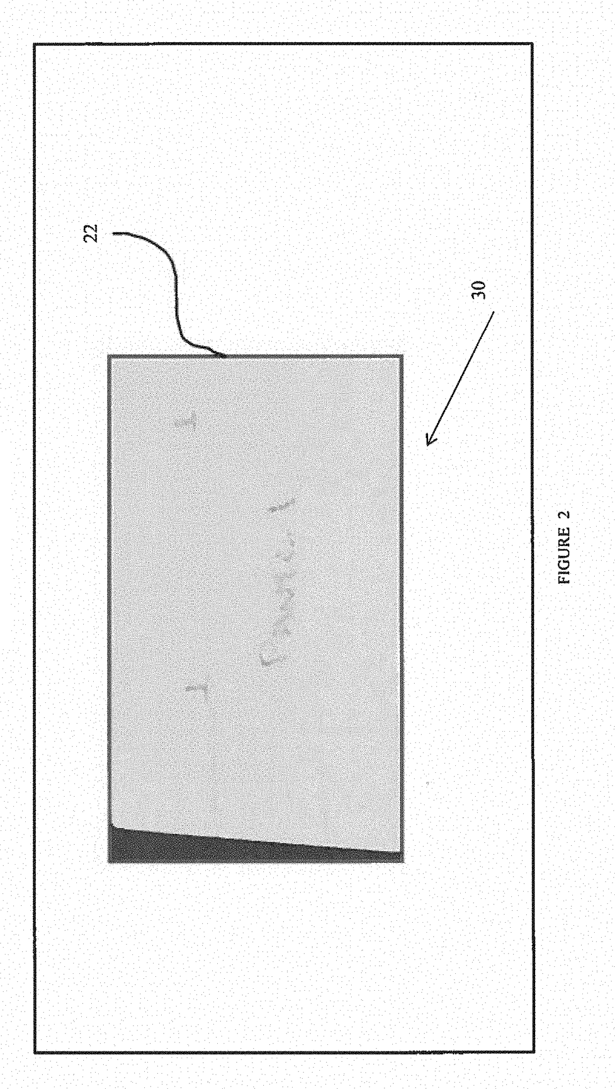 Nondestructive inspection method for coatings and ceramic matrix composites