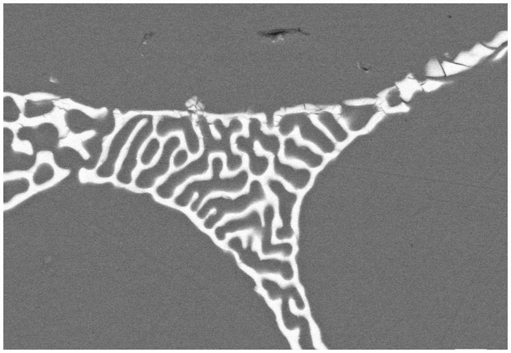 A kind of high-strength closed-cell aluminum alloy foam and its preparation method