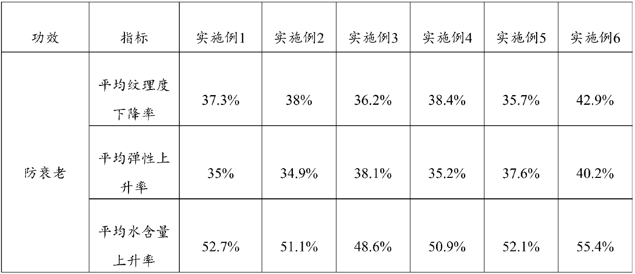 Anti-ageing composition and skin care product containing same