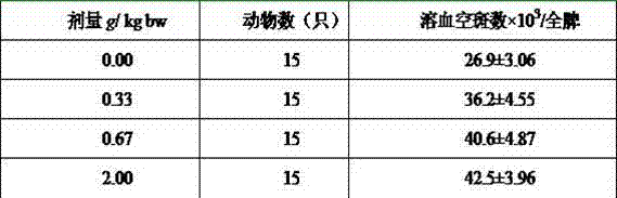 Sturgeon air bladder polypeptide health-care food capable of strengthening immune competence and preparation method thereof