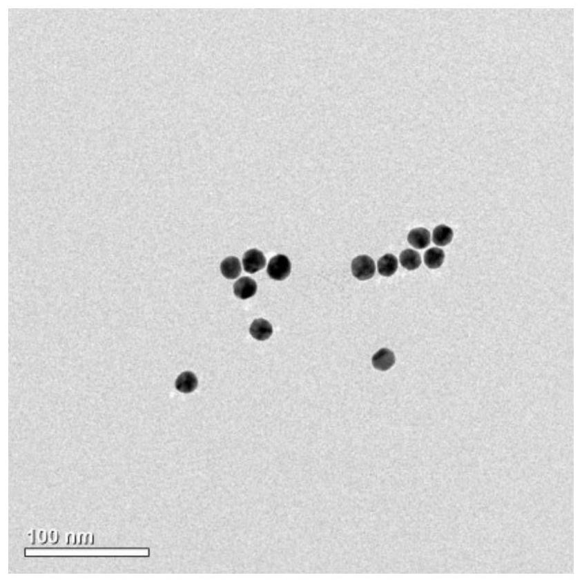 Biosensor for ctDNA detection and preparation method thereof