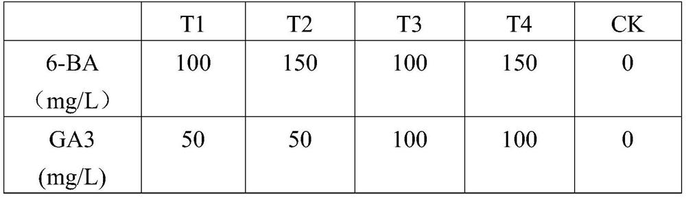 Method for regulating and controlling flowering stage and flowering traits of cymbidium sinense