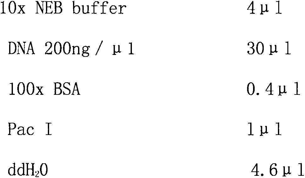 Bladder-cancer specific oncolytic adenovirus independent of CAR and establishment method