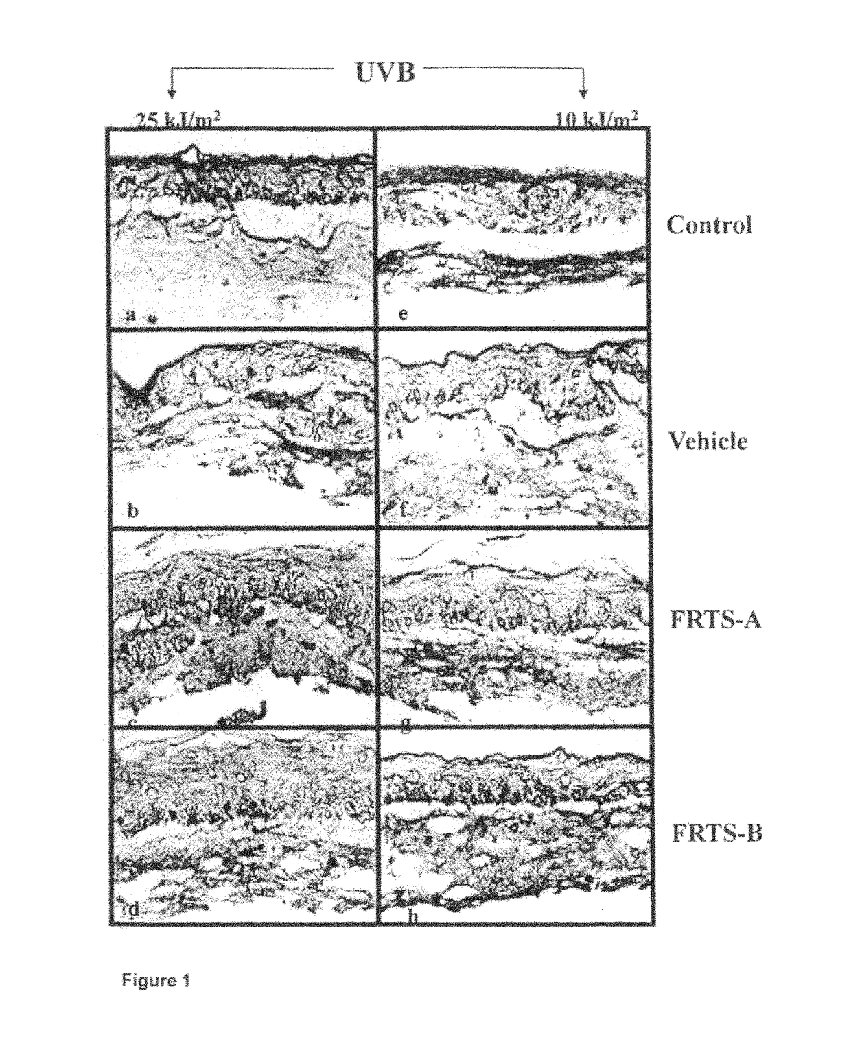 Use of a photosynthetic cell extract comprising functional thylakoids in cosmetic compositions