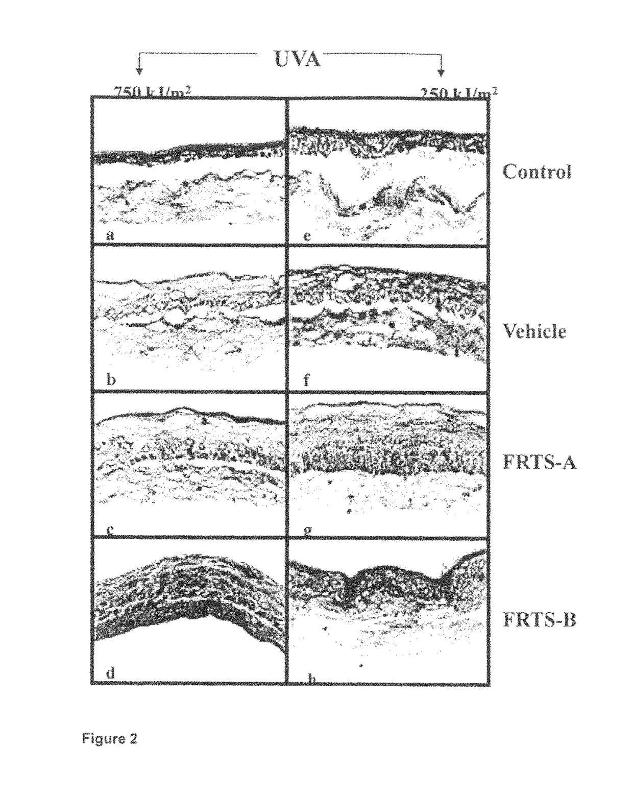 Use of a photosynthetic cell extract comprising functional thylakoids in cosmetic compositions