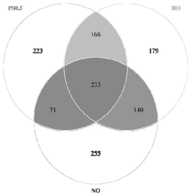 Nutritional method for regulating muscle fatty acid composition of large yellow croaker under high-fat feeding