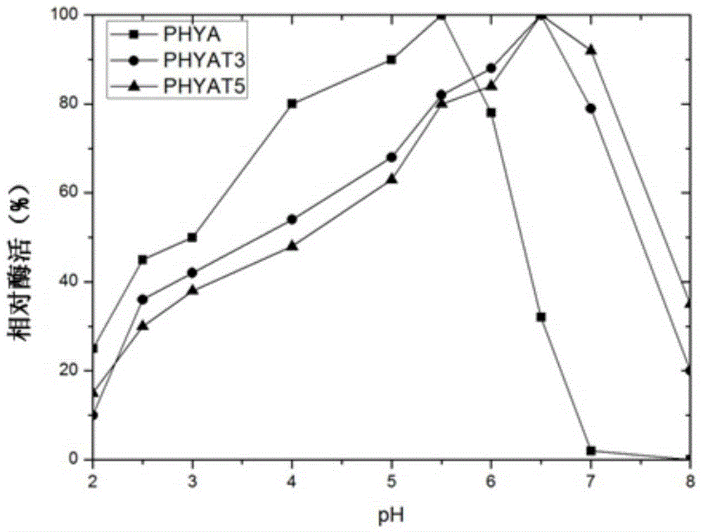 Neutral phytase mutant and application thereof