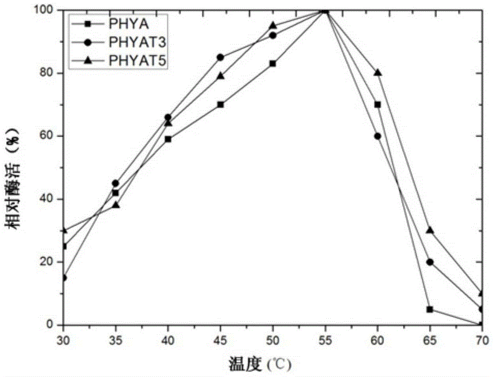 Neutral phytase mutant and application thereof