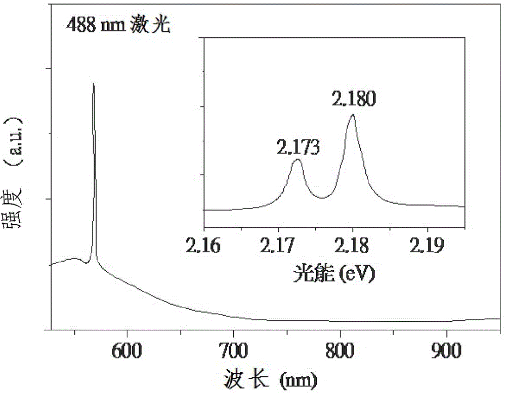 Sound output device with biological effect, sound output system with biological effect and application of sound output device