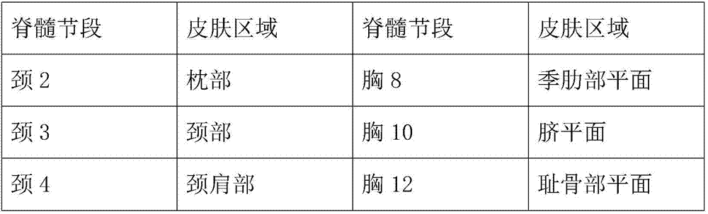 Skin region and spinal segment matching system