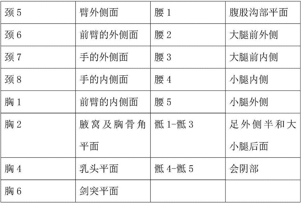 Skin region and spinal segment matching system