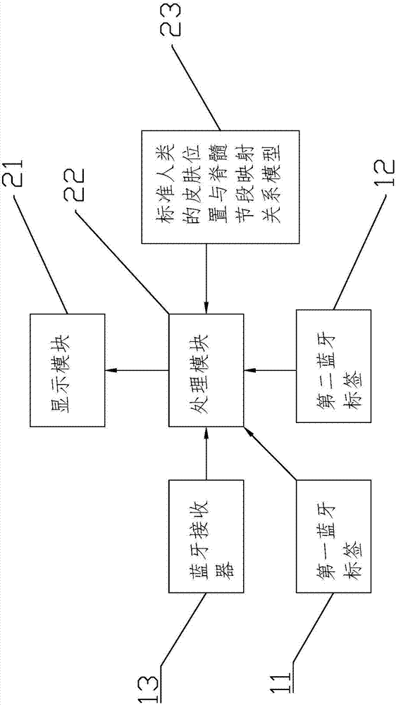 Skin region and spinal segment matching system