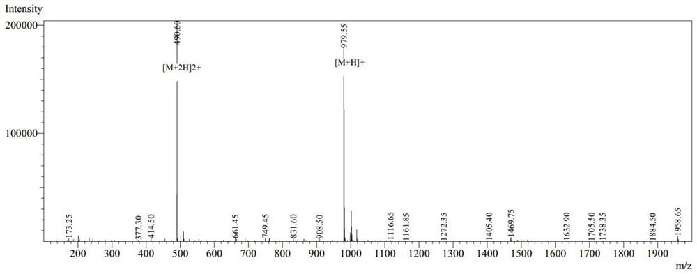 Polypeptide for promoting swine body to generate African swine fever virus antigen specific immune response and application thereof