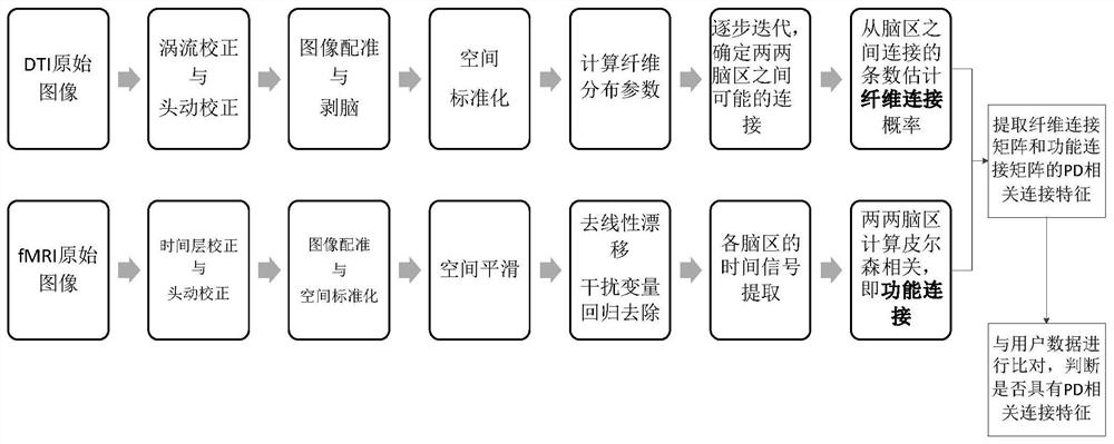 Parkinson's disease auxiliary recognition method for constructing brain network modeling based on fMRI and DTI