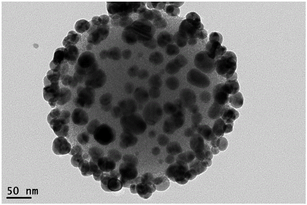 Nanometer material for SERS (Surface-Enhanced Raman Scattering) detection and preparing method of nanometer material