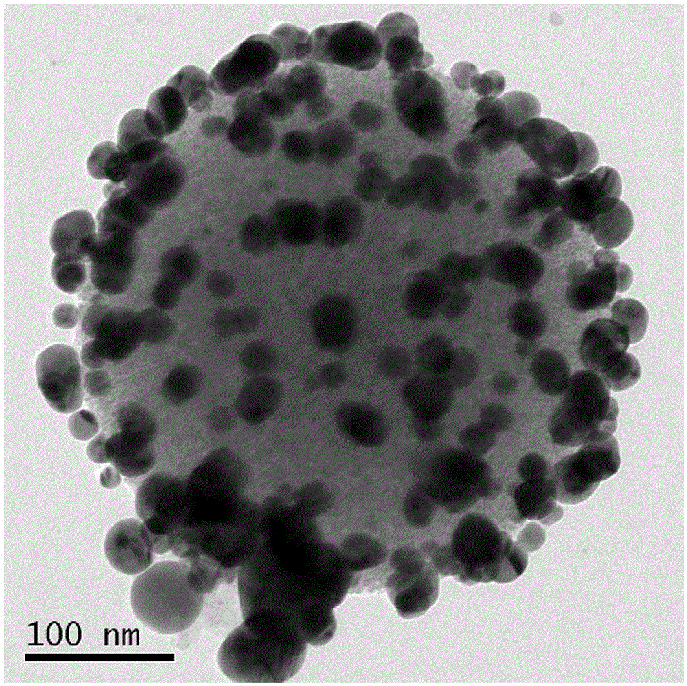 Nanometer material for SERS (Surface-Enhanced Raman Scattering) detection and preparing method of nanometer material