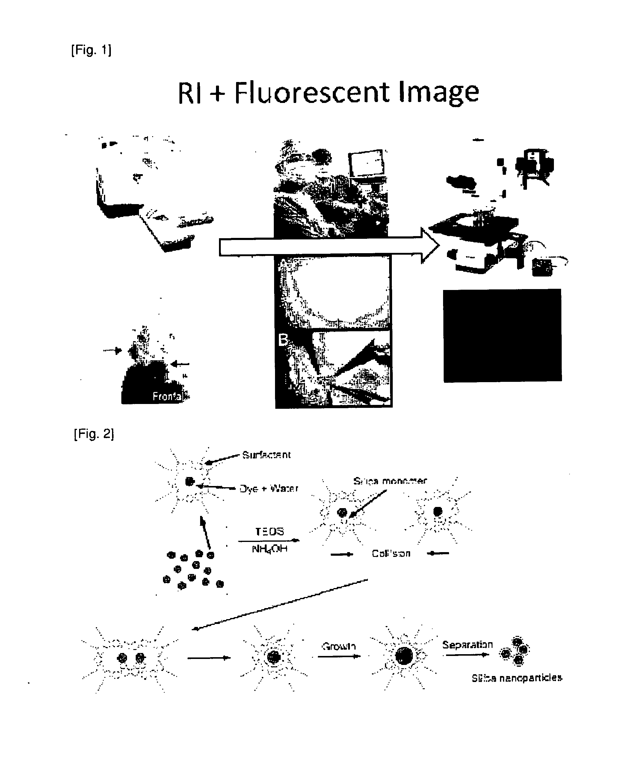 Fluorescent silica nanoparticle with radioactive tag and the detecting method of pet and fluorescent dual imaging using thereof