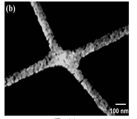 ZnO/enzyme biosensor and preparation method