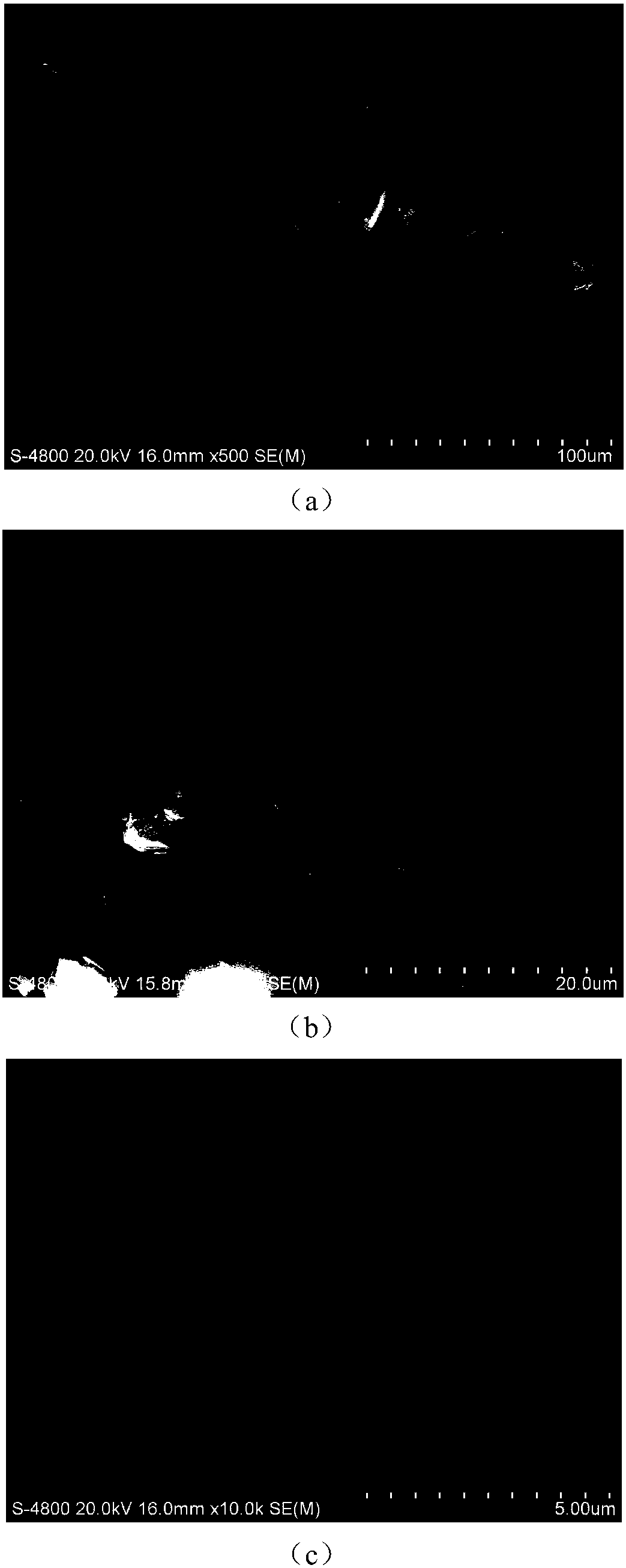 Preparation method and application of high-efficiency flocculation algae removal material with environmental adaptability