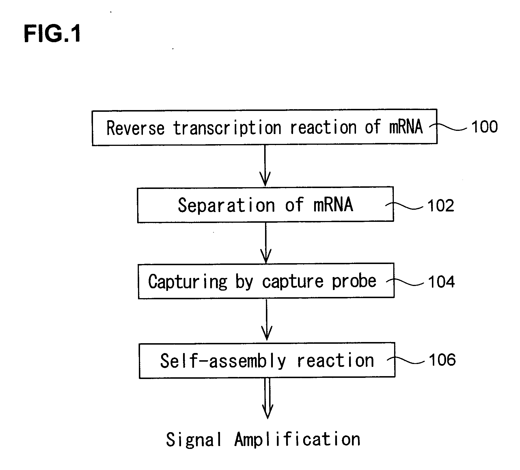 Signal amplification method for detecting expressed gene