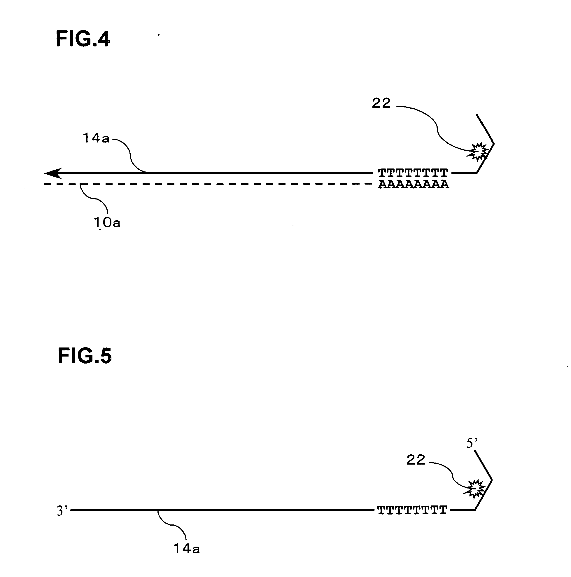 Signal amplification method for detecting expressed gene