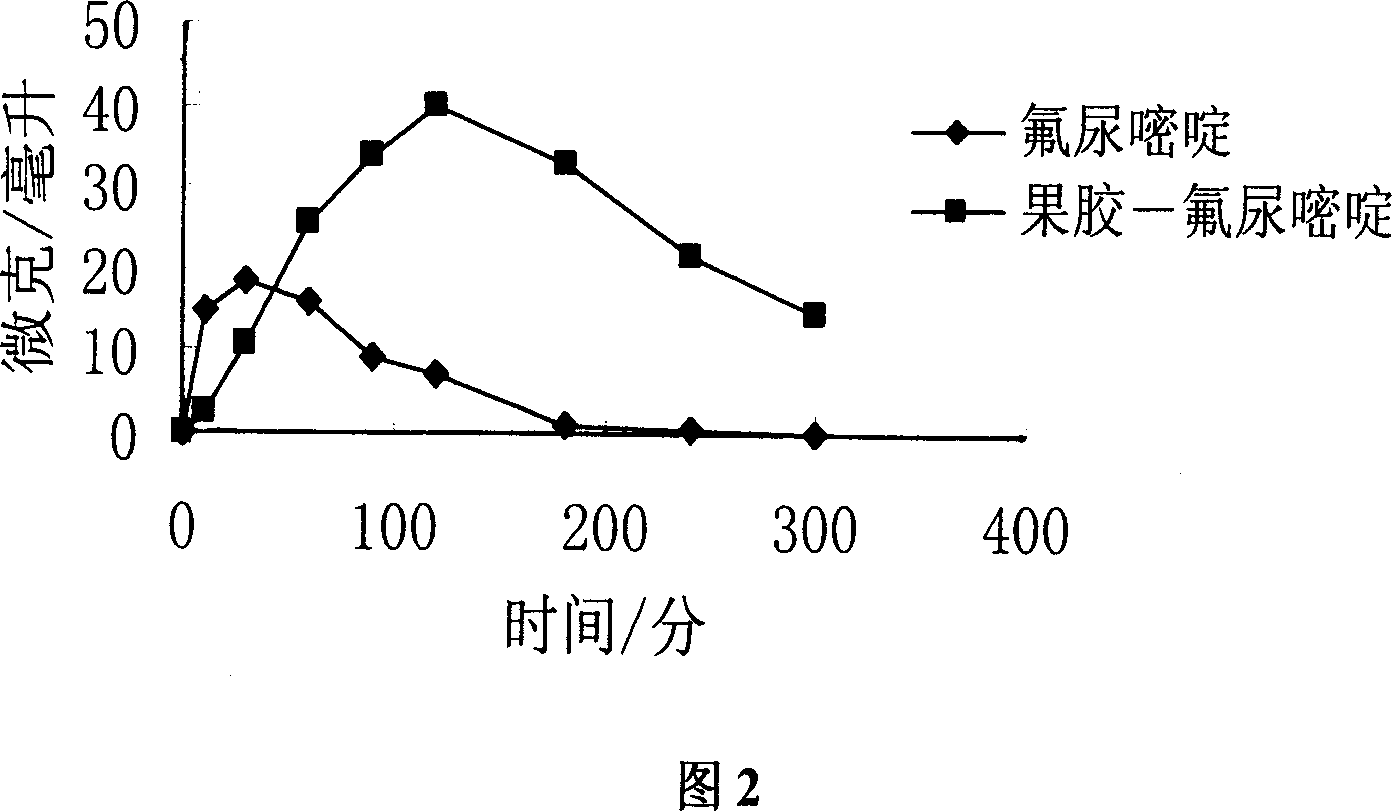 High molecular anticarcinogenic prodrug, its preparing method and use