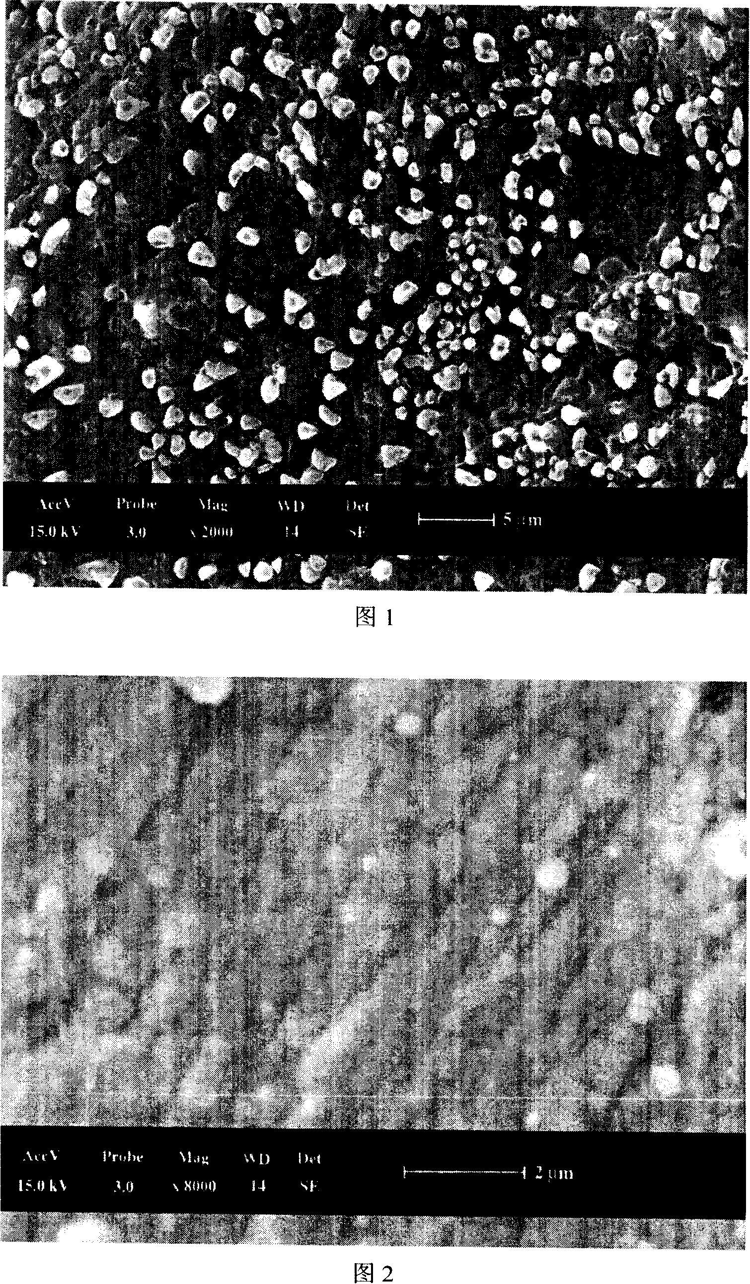 Technique used for ABS plastic substrate chemical plating pre-processing