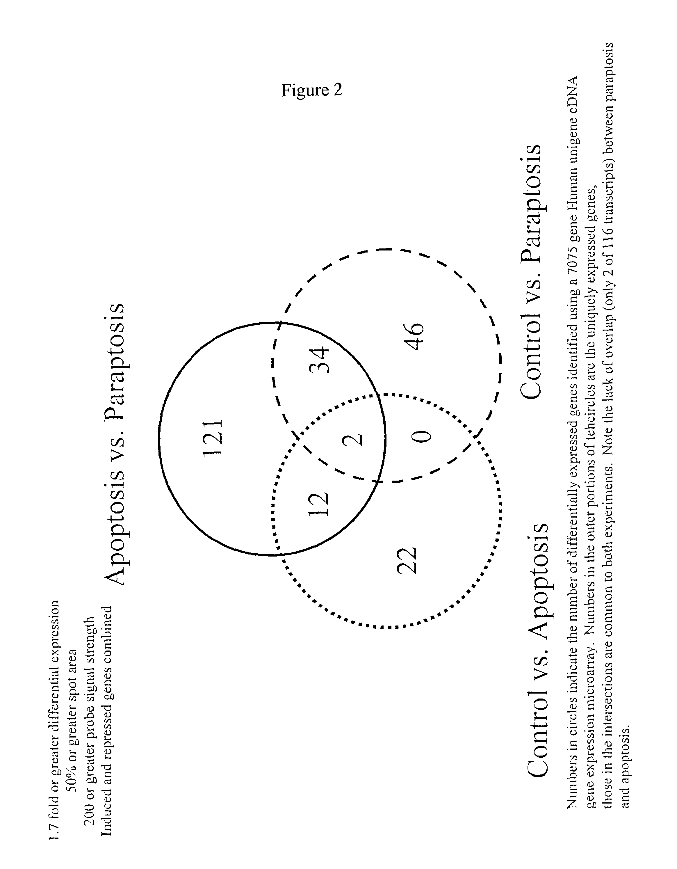 Modulators of paraptosis and related methods